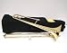 Musical Instruments : Rugeri B Flat Gold Lacquer Plated Slide Trombone With Carrying Case