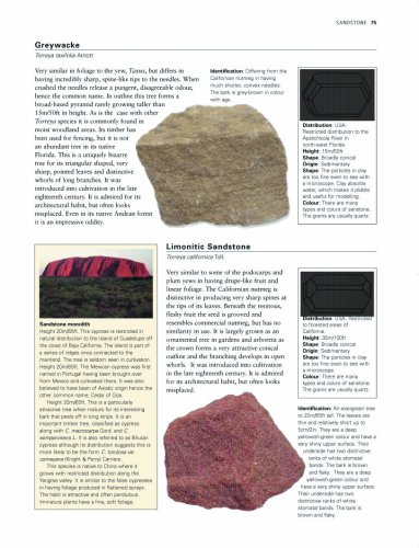 The Practical Encyclopedia of Rocks & Minerals: How to Find, Identify, Collect and Maintain the World's best Specimens, with over 1000 Photographs and Artworks under Rocks & Minerals in The Books Store