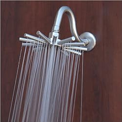 Captain's Wheel Brushed Nickel Shower Head