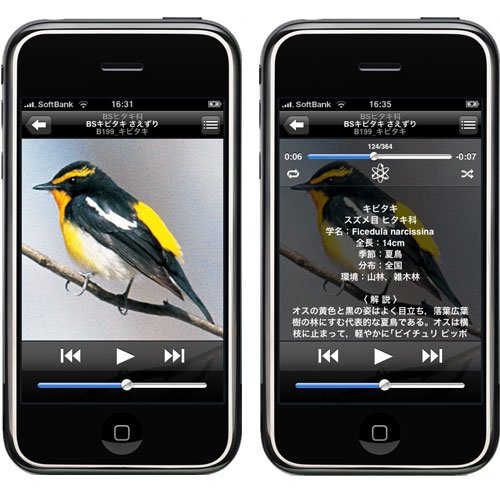 Cover image : Birdsong for iPod