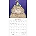 Gary Patterson Cats Magnetic Wall Calendar