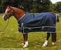 Harlequin Lightweight Turnout Rug, Standard Neck, Navy, 6ft3