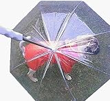 �yCROSS WALKER�z �J�̓��ł� �~�J�̎����� �C�y�ɂ��U�� �y�b�g�A���u���� �P �U��