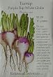 Turnip Purple Top White Globe Heirloom Seeds 200 Seeds