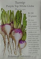 Turnip Purple Top White Globe Heirloom Seeds 200 Seeds