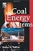 Coal Energy Systems (Sustainable World)