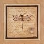 Messenger of Summer Art Poster Print by Constance Lael, 9x9