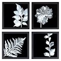 Set Of 4 Eva Wall decor - Leaf Image