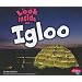 Look Inside an Igloo (Pebble Plus)