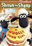 Shaun The Sheep: A Woolly Good Time