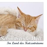 Schnurrende Welt - Im Land der Katzentr�ume: Im Land der Katzentr�ume - Mit Bubu, Susi & Covon "Karl-Heinz Dingler"