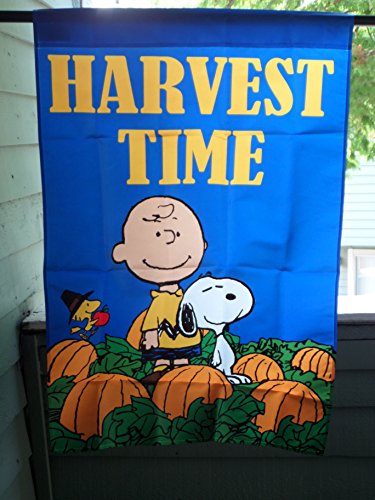 Peanuts Snoopy & Charlie Brown 