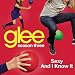 Glee - Sexy And I Know It