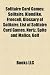 Solitaire Card Games: Solitaire, Klondike, Freecell, Glossary of Solitaire, List of Solitaire Card Games, Nertz, Spite and Malice, Golf