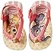 Havaianas Baby Disney Retro Thong Sandal (Infant/Toddler)