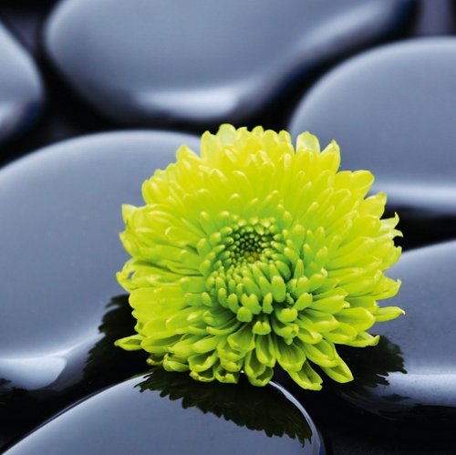 Eurographics DG-DT1045 Glasbild Deco Glass Black Spa Stones  50 x 50 cm