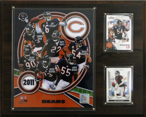 NFL Chicago Bears 2011 Team Plaque