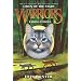 Warriors: Omen of the Stars #2: Fading Echoes