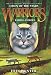 Warriors: Omen of the Stars #2: Fading Echoes
