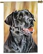 Black Labrador Lab Retriever Dog Breed Flag - 26" X 37"
