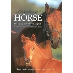 In Celebration of the Horse