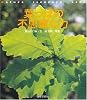 葉っぱの不思議な力 (Nature Discovery Books)