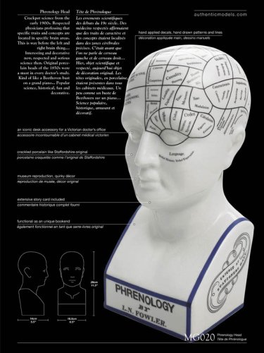 Childrens Toyshop  Kitchen & Housewares : Iconic Decor Piece: Phrenology Head