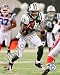 Braylon Edwards 2009 Action by Unknown 8.00X10.00. Art Poster Print