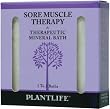 Sore Muscle Therapeutic Mineral Bath Salt- 3 oz.