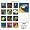 Parrots 2008 Square Wall Calendar (German, French, Spanish and English Edition)