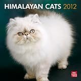 Himalayan Cats 2012 Square 12X12 Wall Calendar (Multilingual Edition)