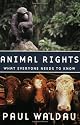 Animal Rights: What Everyone Needs to Know