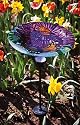 Monarch Floral Glass Birdbath with Solar Stake