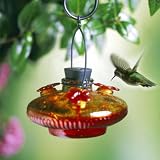 Flame Red Bloom Hummingbird Feeder by Par-A-Sol