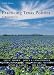 Books : Practicing Texas Politics: A Brief Survey