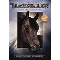 The Adventures of the Black Stallion: Season Two, Vol. 2 (2 Discs)