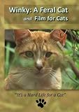 Winky: A Feral Cat & Film for Cats