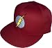 Search : The Flash DC Comics Snapback Cap