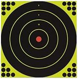 12 Birchwood Casey® Shoot - N - C® Self - Adhesive Targets