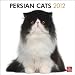 Persian Cats 2012 Square 12X12 Wall Calendar (Multilingual Edition)