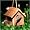 Perky-Pet 50301 Wren Home Cedar Birdhouse