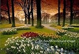 Floral Sunset PR1857 Wall Mural
