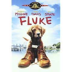 Fluke