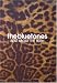 DVD - The Bluetones - Beat about The Bush von The Bluetones