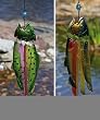 2 Assorted Glass Fish Chimes 2 Assorted Glass Fish Chimes