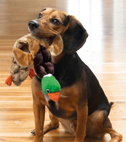 More image Plush Squeaking Mallard Duck Dog Toy By Collections Etc