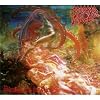 Blessed are the Sick (Digipack CD + Poster)