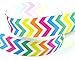 Rainbow Ribbon for Crafts - Hipgirl 7/8