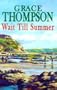 Wait Till Summer (Holidays at home)