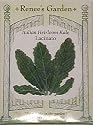 Italian Heirloom Kale Seeds - Lacinato
